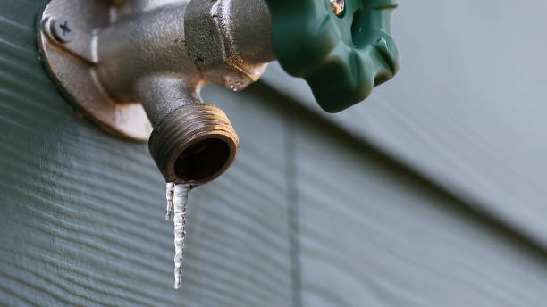 Best Sewer Line Repair  in Pasadena Hills, MO
